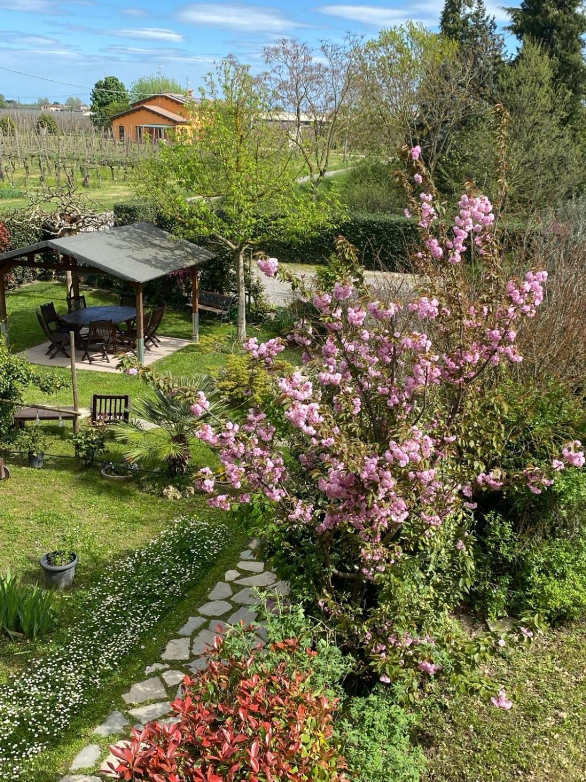 לינה וארוחת בוקר Massa Lombarda La Casa Di Biba מראה חיצוני תמונה